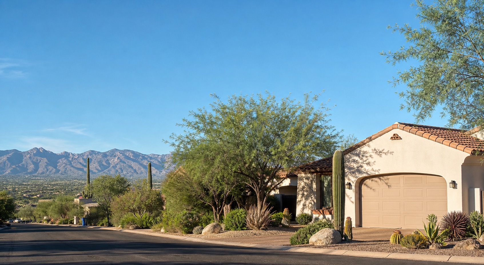 Tucson home with Southwestern desert landscaping